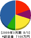 日本ガラスウォール 貸借対照表 2009年3月期