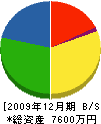 中日本産業 貸借対照表 2009年12月期