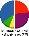 淡路 貸借対照表 2009年6月期