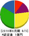 村松建設 貸借対照表 2010年6月期
