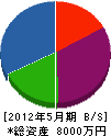 西日本防水工業 貸借対照表 2012年5月期