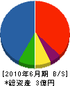 小野組 貸借対照表 2010年6月期