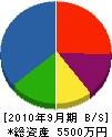 天松建設 貸借対照表 2010年9月期