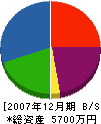 大東綜合防災 貸借対照表 2007年12月期