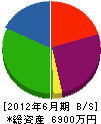 長谷川土建 貸借対照表 2012年6月期