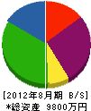 野田サクセン 貸借対照表 2012年8月期