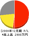 タガミ 損益計算書 2008年12月期