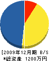 森田土建 貸借対照表 2009年12月期