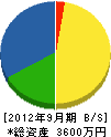 松坂建設 貸借対照表 2012年9月期