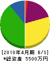 ソトー電気 貸借対照表 2010年4月期