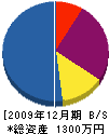 日本ペトラ 貸借対照表 2009年12月期