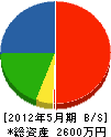 田部井設備 貸借対照表 2012年5月期
