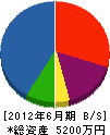 山川土木 貸借対照表 2012年6月期