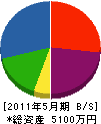汐田土木 貸借対照表 2011年5月期
