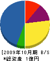 辻尾設備 貸借対照表 2009年10月期
