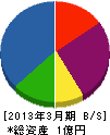 塚本電気設備 貸借対照表 2013年3月期