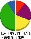 松村塗装工業 貸借対照表 2011年6月期