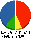 金沢工務店 貸借対照表 2012年5月期