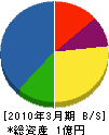 桂島建設 貸借対照表 2010年3月期