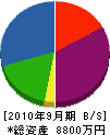 藤木木工製作所 貸借対照表 2010年9月期