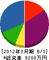 肥田忠 貸借対照表 2012年3月期