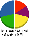 志賀工芸 貸借対照表 2011年6月期