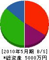 安田塗装 貸借対照表 2010年5月期