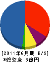坂口組 貸借対照表 2011年6月期