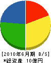 生田組 貸借対照表 2010年6月期