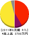 にんじんネット 損益計算書 2011年6月期