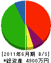 カミカワ 貸借対照表 2011年6月期