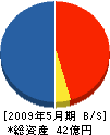 九州五光 貸借対照表 2009年5月期