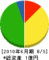 島田組 貸借対照表 2010年6月期