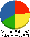 吉澤建設 貸借対照表 2010年6月期
