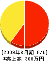 アドヴァンステクノ 損益計算書 2009年6月期 アドヴァンステクノ 損益計算書 2009年6月期