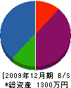 橋本緑園 貸借対照表 2009年12月期