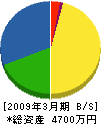 橋本工建 貸借対照表 2009年3月期