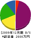 稲田建築 貸借対照表 2009年12月期