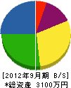 廣瀬住建 貸借対照表 2012年9月期