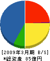 田中組 貸借対照表 2009年3月期