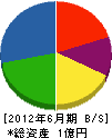 京都遺跡サービス 貸借対照表 2012年6月期