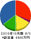 峰谷建設 貸借対照表 2010年10月期