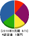 浜田建設 貸借対照表 2010年9月期