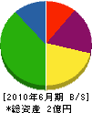 青木建設工業 貸借対照表 2010年6月期