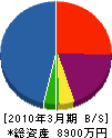 田中電機 貸借対照表 2010年3月期
