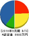 堺工務店 貸借対照表 2010年9月期