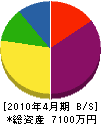 武田工業 貸借対照表 2010年4月期