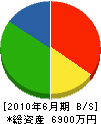 長野特機産業 貸借対照表 2010年6月期 長野特機産業 貸借対照表 2010年6月期