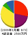 天田硝子店 貸借対照表 2009年3月期