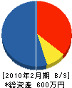 橋本工務店 貸借対照表 2010年2月期